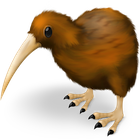 dashkard Kiwi